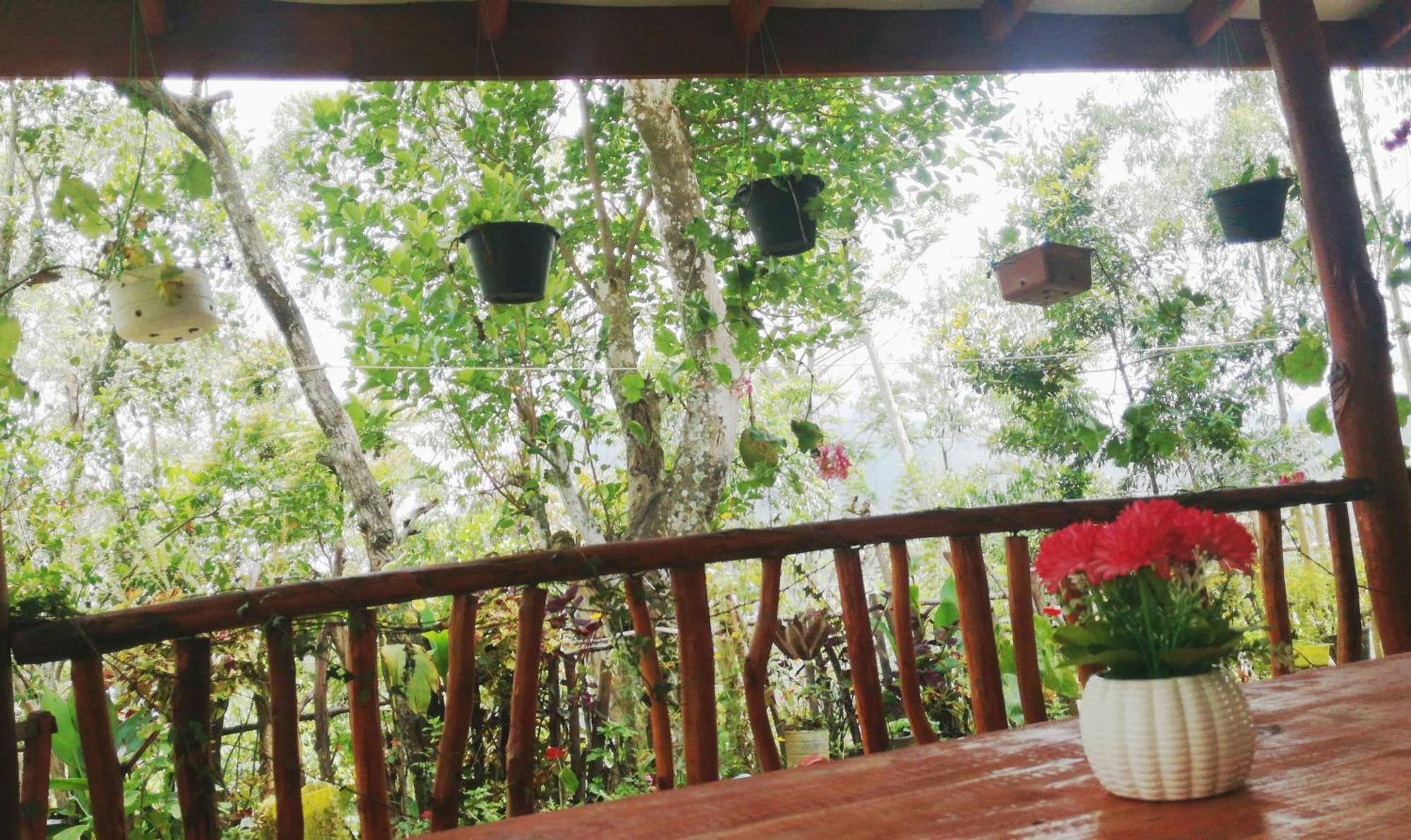 Deneth Homestay Элла Экстерьер фото
